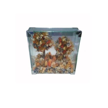 VITRINA CRISTAL ESPEJO 2 ARBOLITOS FLORES SECAS 18X18X6